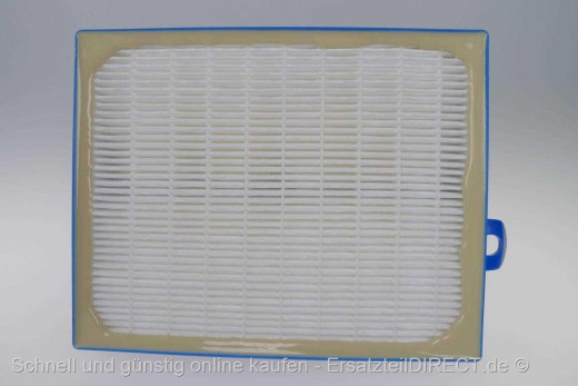 Staubsauger Hepa Filter FC9192 9194 FC8038