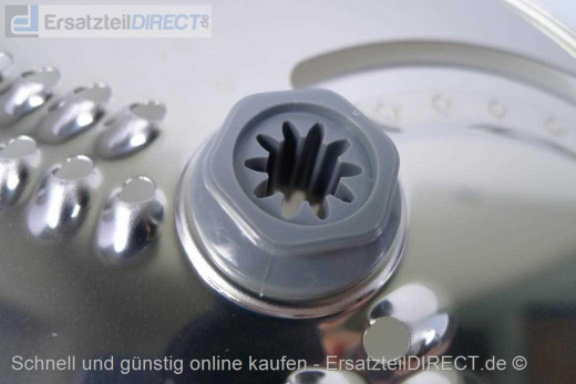 Schneide-Raspelscheib FDP300 FPP225 FPP235