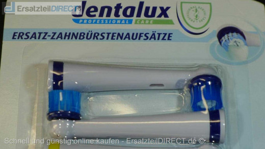 Dentalux Aufsteckbürsten Zahnbürstenrundkopf (8er)