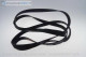 Contitech Wäschetrockner Keilriemen passend für WTL6003