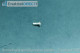 Schraube / Screw ES882 ES883 ES8068