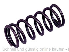 Druckfeder 0,9 x6,9 x18,2 verwendbar passend für 1230 1231
